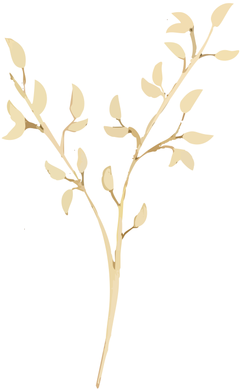 White Birch Branch Alton White Birch - Alton IL